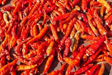 Chili Pepper